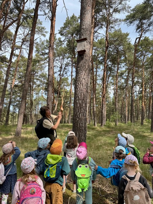 Eine spannende Erkundungstour durch den Wald mit der Naturwacht: Kinder beobachten einen Nistkasten