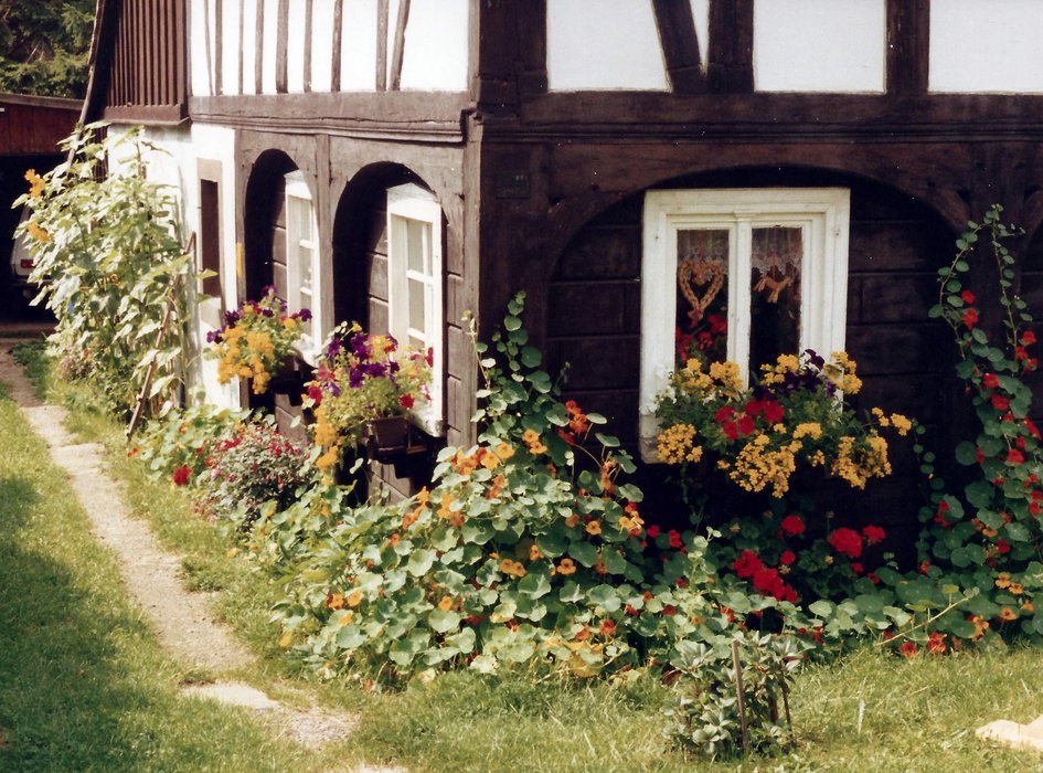 Lausitzer Umgebindehaus mit Bauerngarten in der Umgebung von Herrnhut
