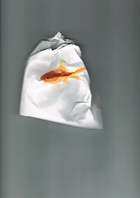 &quot;Fischtüte&quot; von Gesine Wenzel