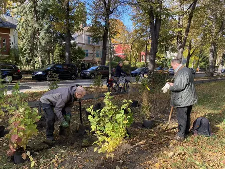 Mitglieder der Umweltgruppe pflanzen Sträucher auf dem Oberhofer Platz